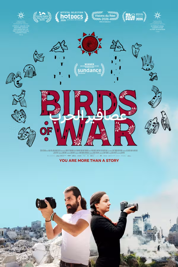 Birds of War poster
