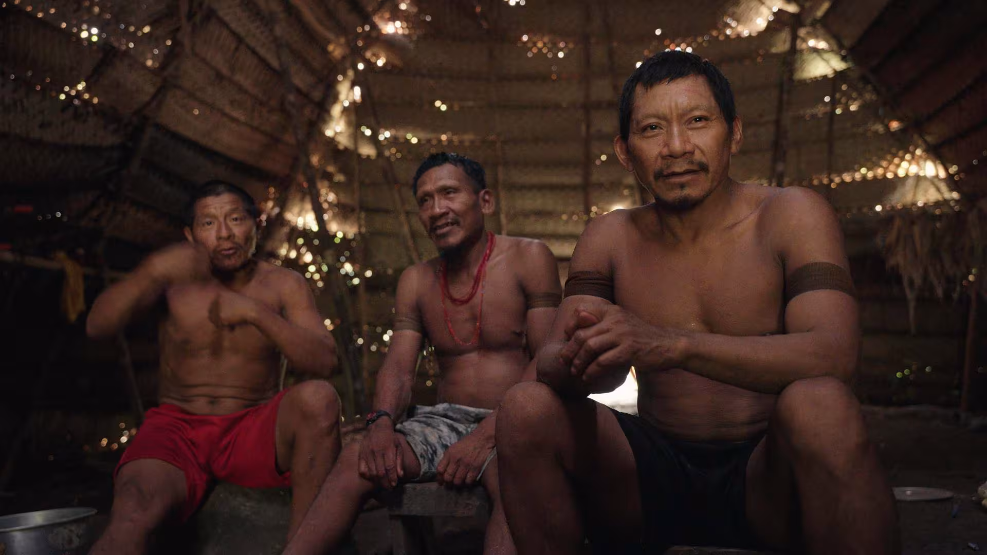 Amazomania still