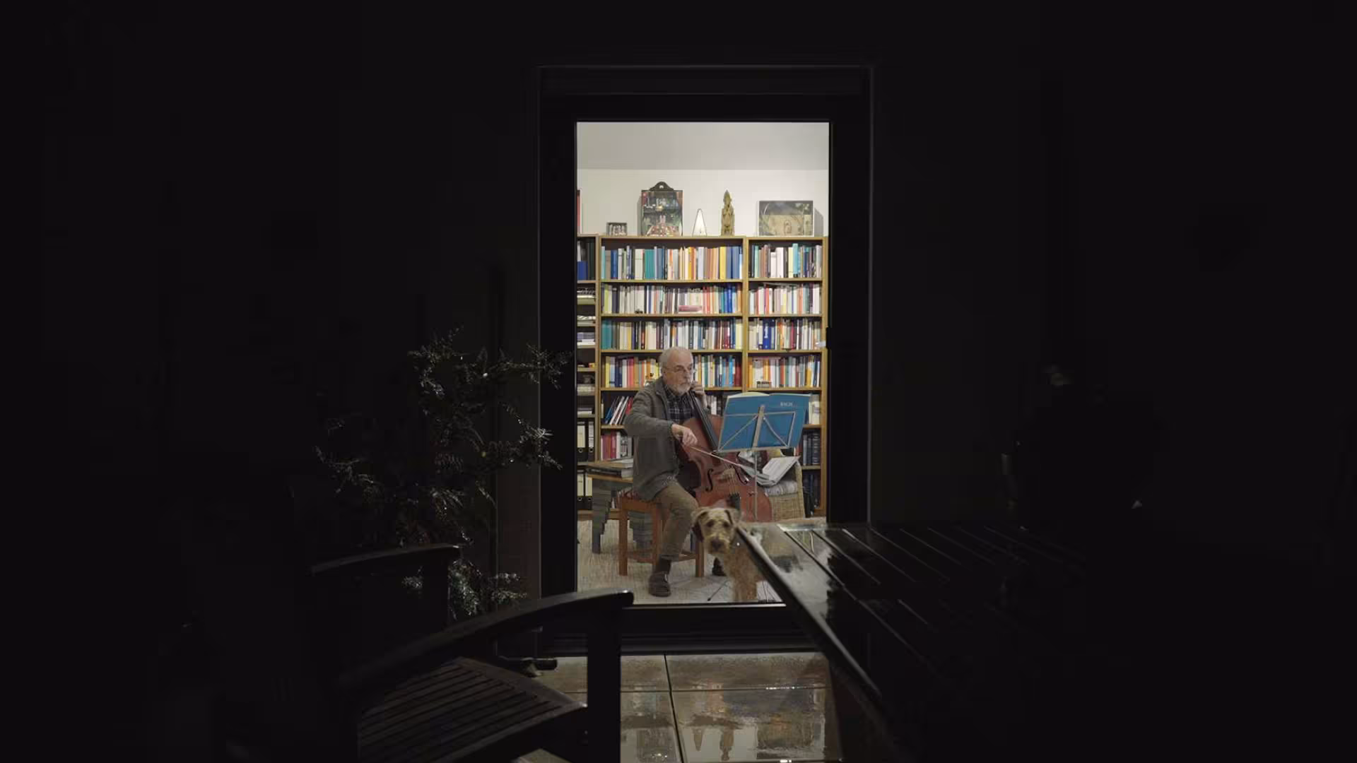 Zöld lámpa