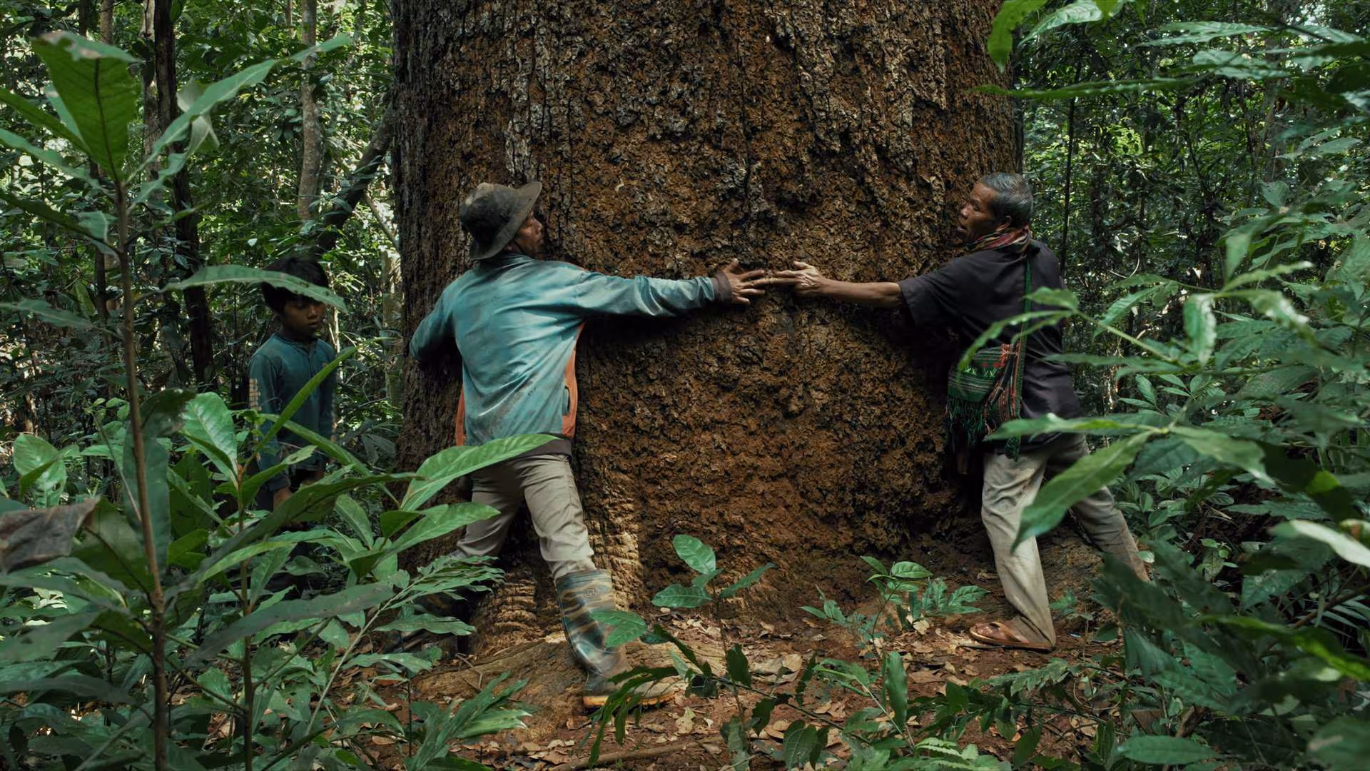 We Are the Fruits of the Forest still