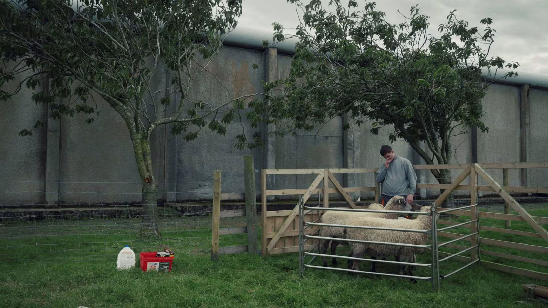Magilligan still